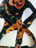 Trick or Treat Harness