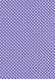 Purple Gingham Harness