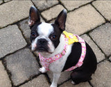 Daisy  Pink  Soft Dog Harness