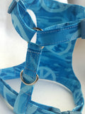 Blue and Peace Harness