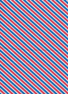Patriotic stripes Harness