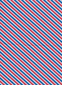 Patriotic stripes Dog Collar