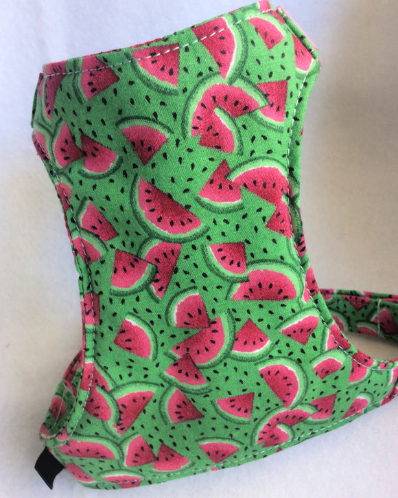 Watermelon Harness