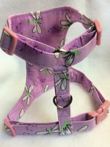 Dragonfly  Harness
