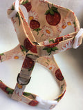 Daisy and Strawberry Harness